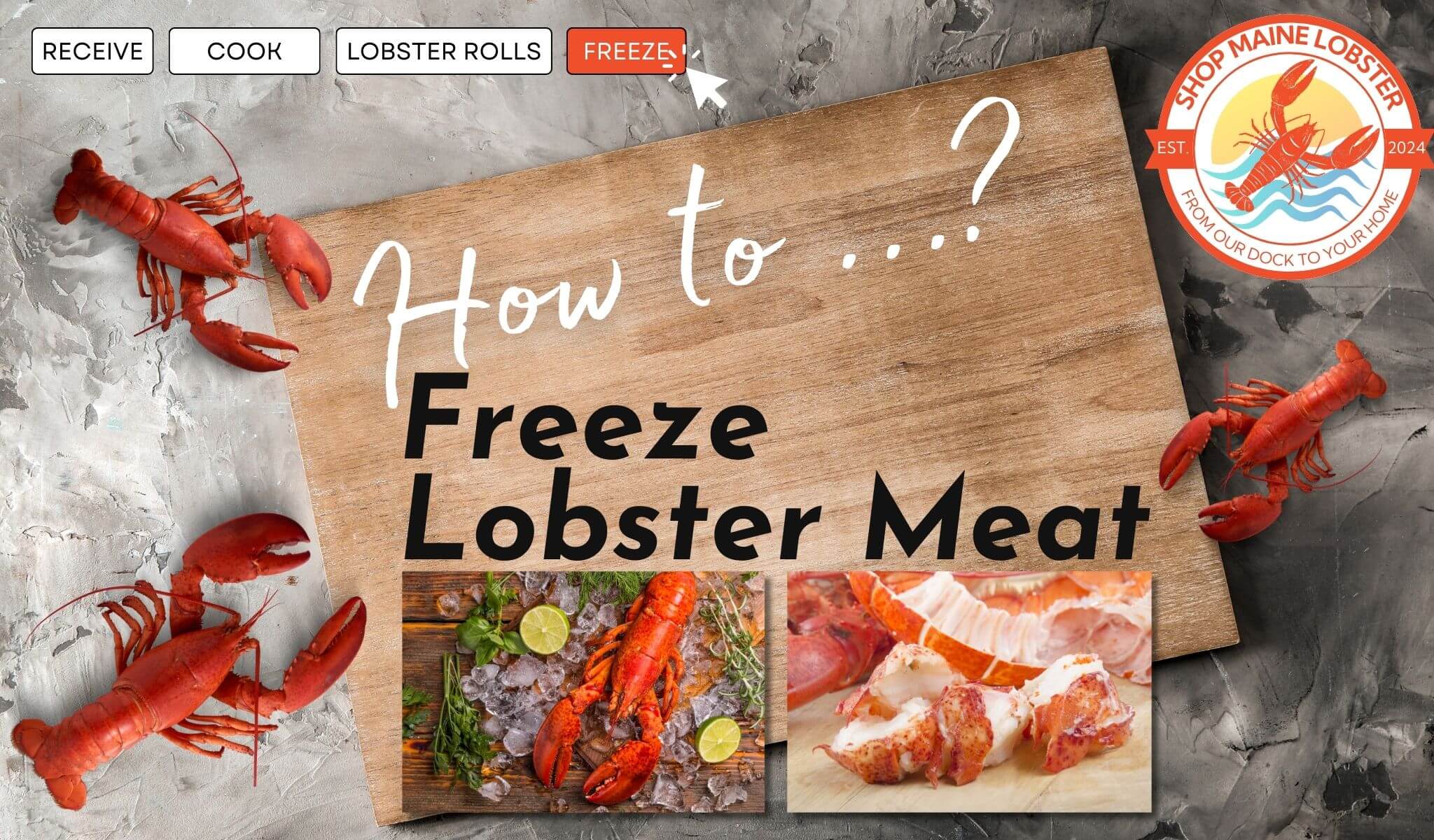 How to Freeze Lobster - the helping Lobster Guide by shopmainelobster.com