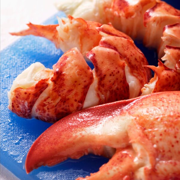 Lobster Claw and Knuckle Meat - Order fresh on shopmainelobster.com