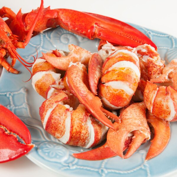 Lobster Claw and Knuckle Meat - Order today on shopmainelobster.com