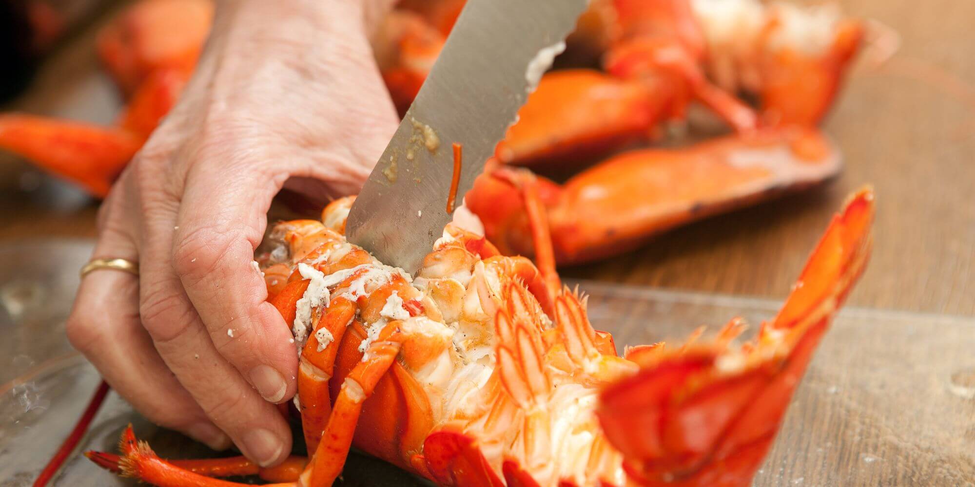 Fresh lobster meat - shipped to all 50 states of America. Shop Lobster Meat Online