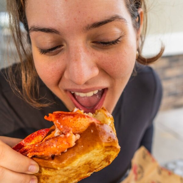 Lobster Roll Kit - fresh Lobster meat shipped to your home