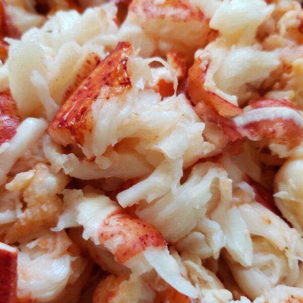 Lobster Tail Meat - Order fresh on shopmainelobster.com