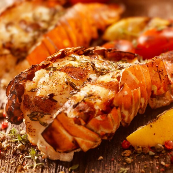 Lobster Tail Meat - Order now on shopmainelobster.com